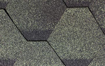 Plas Gogerddan fibreglass shingle repairs