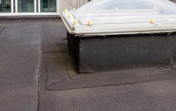 disadvantages of Plas Gogerddan flat roofs