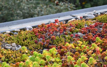 the cost of Plas Gogerddan green roof installation