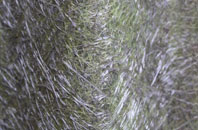 Plas Gogerddan fibreglass roof work