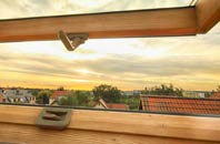 rated Plas Gogerddan roof window companies